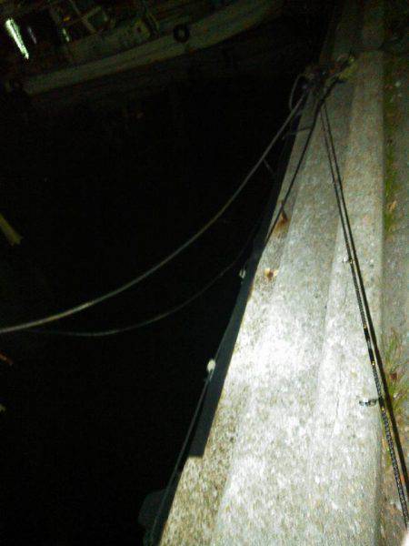 釣行完了！v(・∀・*)